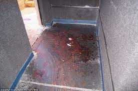 How the aurora shooting unfolded. Colorado Movie Theater Investigators Map Out Every Bullet James Holmes Fired Daily Mail Online