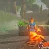 Breath of the wild, survival is the name of the game. 1