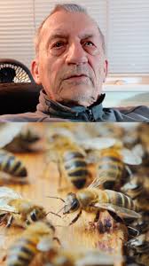 How Bees Keep Our Civilization from Food Shortages #reinhardstanjek  #ascensiontools #bee #savethebees #savethebees🐝