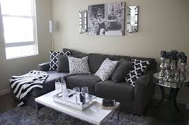 Apartment Decor Classy Apartment Decor Apartment Decor Small Apartment Decorating