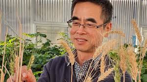 Machine learning powers-up heat tolerance gains