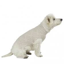 Scratchs x8] bouge ta tête, tourne pas en rond. Produits Pour Les Chiens Et Chats Gifi