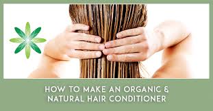 organic natural hair conditioner