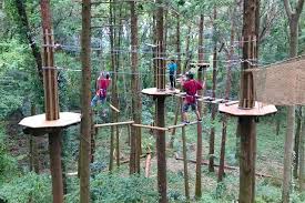 To controll forest adventure game, use your keyboard and mouse if you play it on your desktop. Forest Adventure Experience Japan S Outdoors In Style Japan Travel By Navitime Japan Travel Guides Transit Search And Itinerary Planner
