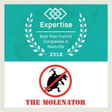 Find the best pest control & exterminators in nashville, tn. Best Animal Removal Company Nashville Moles Molenator
