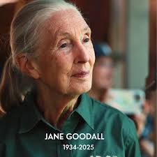 Melissa Carmody, Directora del Parque Karukinka, presentó su charla ¿Turbe  qué? en el Festival de Humedales Patagónicos, celebrado los días 3, 4 y 5  de febrero. Un recorrido por las turberas: qué