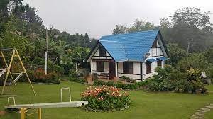 Dijaga oleh pejabat hutan cameron highland. Ivy Homestay Cameron Highlands Home Facebook