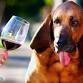 Lazy Days Winery-Red Sangria Saturday