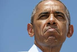 Malaysia Airlines flight MH17 shot down over the Ukraine: Gallery