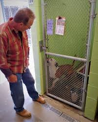At our cypress dog kennel location, and all other dog's day inn locations, we provide top tier pet boarding services. Https Www Mariettatimes Com News 2019 02 Humane Changes