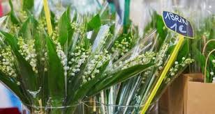 Ces deux fêtes donnaient l'occasion autrefois aux jeunes aujourd'hui l'aspect sentimental de la fête du muguet a fait place à une tradition plus large, celle d'offrir du muguet afin. Du Drive Au Depot En Boulangerie Le Muguet Ne Manquera Pas A Laval Vendredi 1er Mai Laval Maville Com