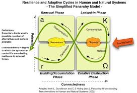 A Very Short Primer On Resilience Complex Systems Systems Theory Resilience