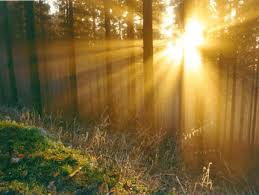 With summer comes beautiful weather, sandy beaches, lake trips, skirts, and margaritas, aka plenty to do and experience. Summer Solstice Beautiful Celebration And A Magical Time Mother Nature Loves You
