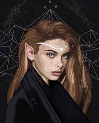 Feyre Acotar Feyre Feysand Procreate Sarah J Maas Sarah J Sarah J Maas Books