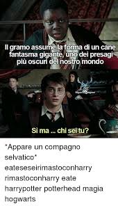 Pin Di Leala Voss Su Harry Potter Umorismo Su Harry Potter Immagini Divertenti Harry Potter Divertente
