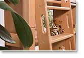 Kinderbett etagenbett pauli buche vollholz massiv natur mit regal und rutsche inkl. Kinderbett Etagenbett Pauli Buche Vollholz Massiv Natur Mit Regal Und Rutsche Inkl Rollrost 90 X 200 Cm Teilbar