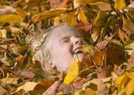 PICTURES: The best photos of 2015