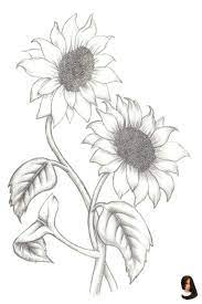 Drawing Ideas Drawings Easy Flower Inspiration Pencil Drawing Drawings Easy Flower Ideas Inspira Sunflower Drawing Flower Drawing Sunflower Sketches
