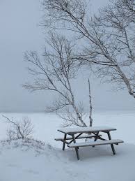 Can T Wait For Spring In 2021 Winter Scenes Winter Wonder Snow Scenes