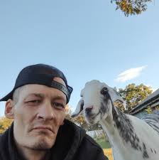 How many of you buy Fast Lane, and if so how often?