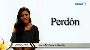 Dear rana , may i give you a small suggestion ,? How To Say Sorry In Spanish Youtube
