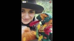 Robin Hood fox by Mariam