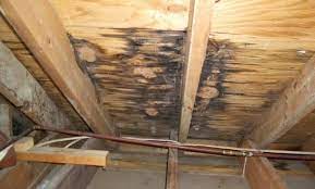 How do you stop a roof leak from inside? Roof Repair Tips For Fixing A Leaking Roof From Inside Narvik Home Parcs