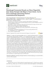 Sourdough Fermented Breads are More Digestible than Those Started with  Baker's Yeast Alone: An In Vivo Challenge Dissecting Distinct  Gastrointestinal Responses