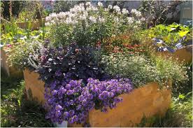 If you are on the hunt for a specific type of flowering plant from the philippines, you can go online for a plethora of ornamental plant pictures that you can peruse. Evaluation Of The Importance Of Ornamental Plants For Pollinators In Urban And Suburban Areas In Stuttgart Germany Springerlink