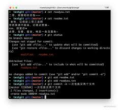 请不要再轻视Git —— 我在工作中是如何使用Git 的掘金的小伙伴，大家好，我是二哥呀！ 对于新手来说，Git 操作- 掘金