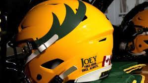 The edmonton elks are a professional canadian football team based in edmonton, alberta. Iaawobmg1chxqm