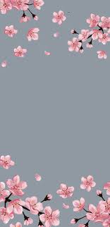 Free hd flower iphone wallpapers. Wallpaper Iphone Apple Wallpaper Iphone Flower Images