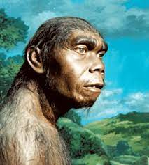 Maybe you would like to learn more about one of these? 17 Manusia Purba Di Dunia Afrika Asia Eropa Indonesia