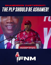 FNM DEPUTY LEADER SAYS...
