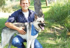 Karlsruhe, germany in 1899 was the scene of the origin of the german shepherd dog developed captain max von stephanitz and others. Bellevue German Shepherds Black German Shepherd Puppies Silver German Shepherd German Shepherd