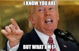 I know you are but what am i. Trump Says I Know You Are But What Am I Imgflip