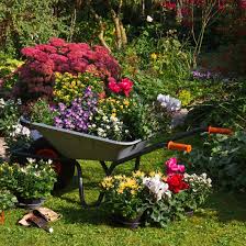33 Wheelbarrow Planter Ideas For Your Garden Wheelbarrow Garden Wheelbarrow Planter Wheelbarrow