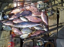 By adminposted on february 13, 2020september 25, 2020. Umpan Pancing Memancing Ikan Bahari Disekitar Pinggiran Pantai Idn Paperplane