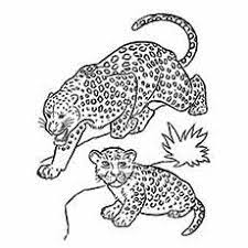 We did not find results for: Top 25 Free Printable Leopard Coloring Pages Online