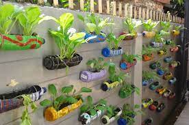 Anda perlu memilih tanaman yang tepat untuk ditanam di lahan yang terbatas. Tak Bebas Pergi Berkebun Di Rumah Jadi Pilihan Selama Covid 19 Semua Halaman Idea