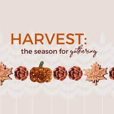Find your favorite diy origami owl and start crafting today whether you are a beginner or seasoned folder. Origami Owl Harvest Collection 2019 Life S Little Charms