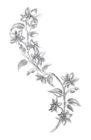 Sampaguita Tattoo Google Search Filipino Tattoos Larkspur Tattoo Jasmine Flower Tattoos Easy guide 'how to draw' from artistro! jasmine flower tattoos