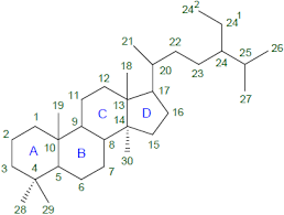 Vérifiez les derniers prix et sachez les acheter en ligne. Steroide