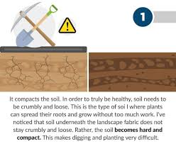 Maybe you would like to learn more about one of these? 6 Reasons Why Landscape Fabric Is A Bad Idea