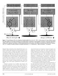 CRANIOFACIAL PAIN AND MOTOR FUNCTION: PATHOGENESIS, CLINICAL CORRELATES,  AND IMPLICATIONS