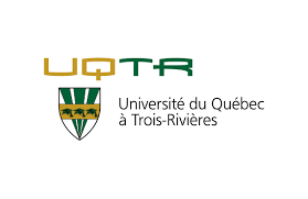 Ecoleweb est une plateforme éducative en ligne créée par sonec africa. Universite Du Quebec A Trois Rivieres Jeune Afrique