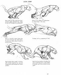 From amazon.com i'd love to drawis a collection of work by the. Must Have Books To Help You Improve Your Drawing And Painting Skills Artependent