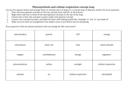 Pogil answer key cellular respiration.get free cellular respiration overview pogil answer key rmhs cellular respiration is essentially the same reaction as combustion, but the › get more: Photosynthesis Cellular Respiration Worksheet