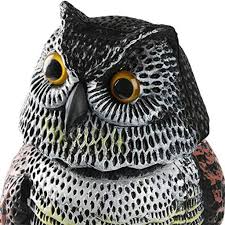 The answer isn't as easy as you think. Jol Realistic Rotating Head Owl Bird Repellent Bird Pest Control Scarecrow Buy From 16 On Joom E Commerce Platform