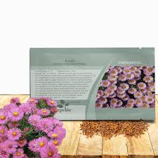 Image result for Aster